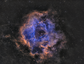 NGC 2239